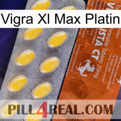 Vigra Xl Max Platinum 42